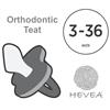 Load image into Gallery viewer, Hevea - Cottage Blue/Gorgeous Grey - Orthodontic 3-36 months
